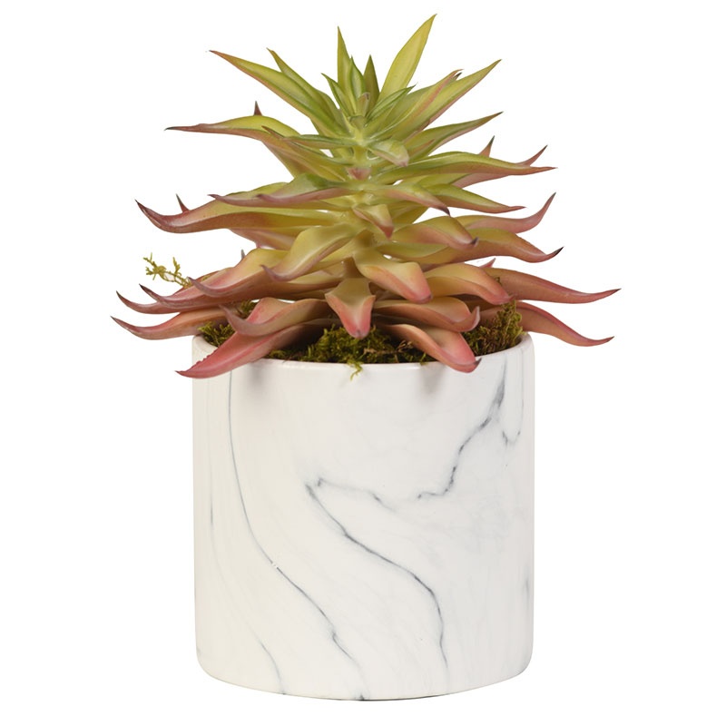 Pink Succulent in Round Marble Planter