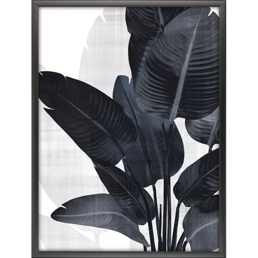 Palm Noir I