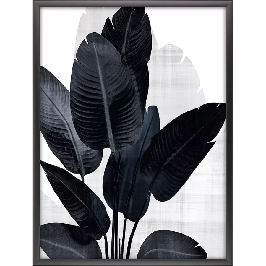 Palm Noir II