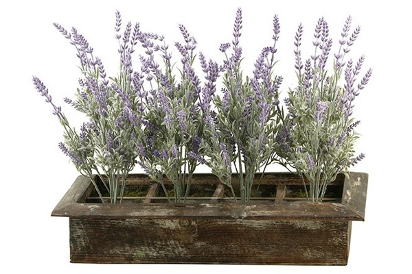 Lavender in Rectangle Wood Planter