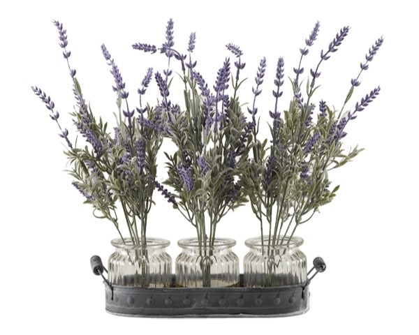 Lavender Branches in Glass Jars