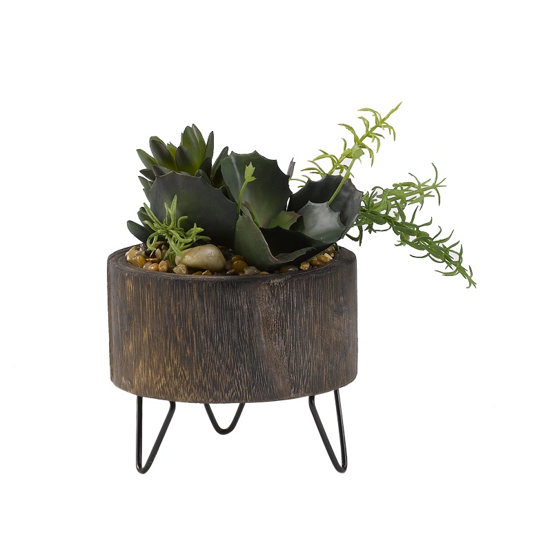 Assorted Succulents in Round Wooden Planter