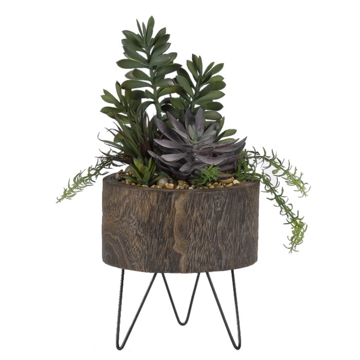Assorted Succulents in Rustic Wood Planter