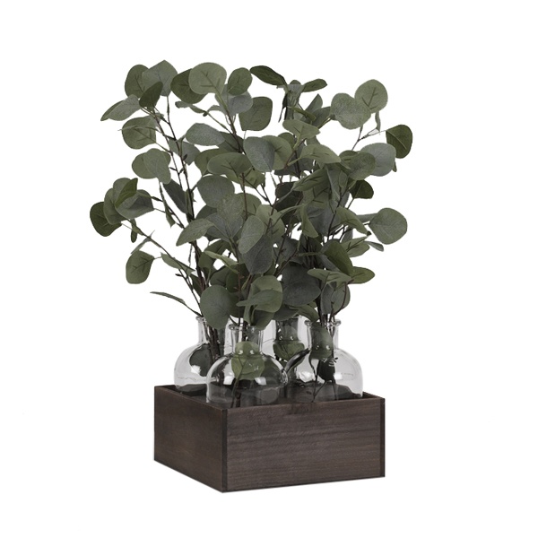 Silver Dollar Eucalyptus in Glass Bottles