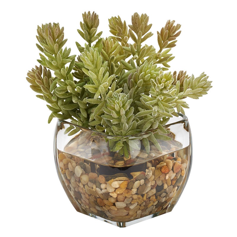 Flocked Mini Succulent in Glass Cube