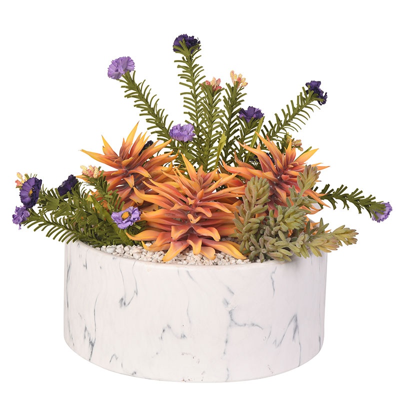 Orange Succulent with Flowers in Round White Planter