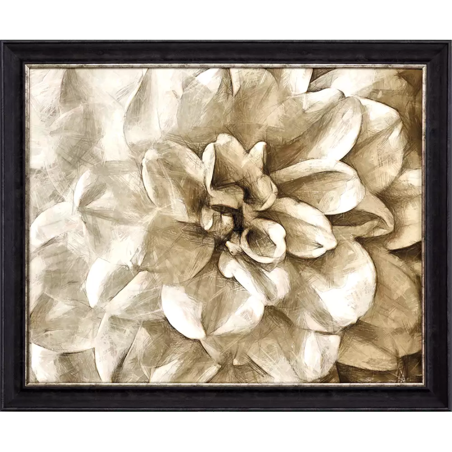 Wall Flower II