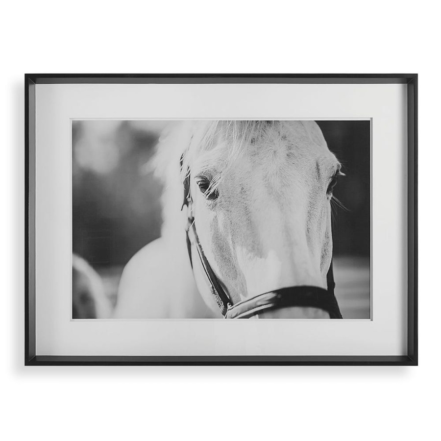 Eyes on the Prize Framed Print