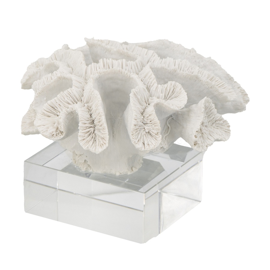 Faux White Coral with Base