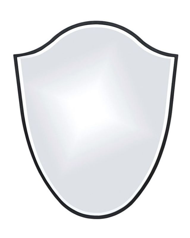 Vanguard 3 Mirror