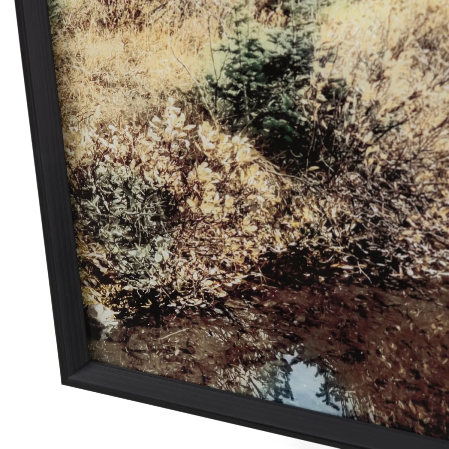 Wheeler Tempered Glass Print