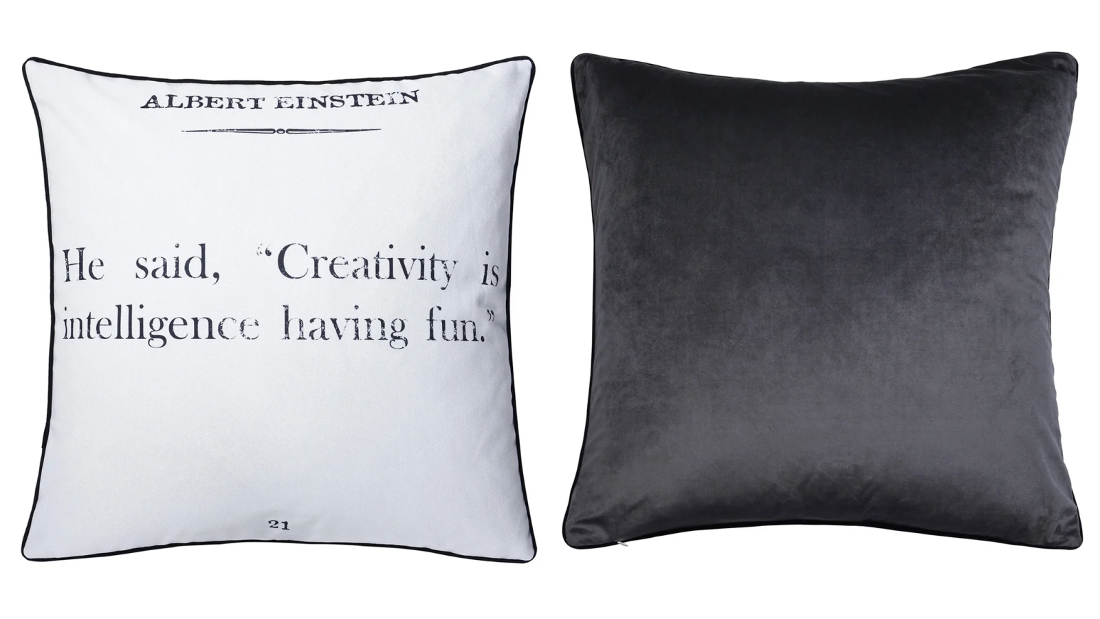 Einstein Quote Print & Gray Velvet Pillow