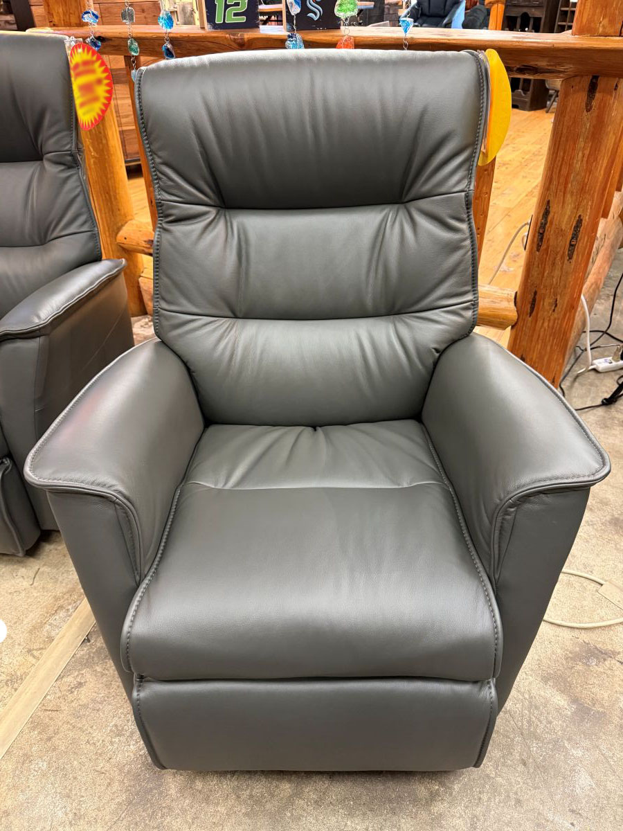 Paramount Graphite Power Recliner